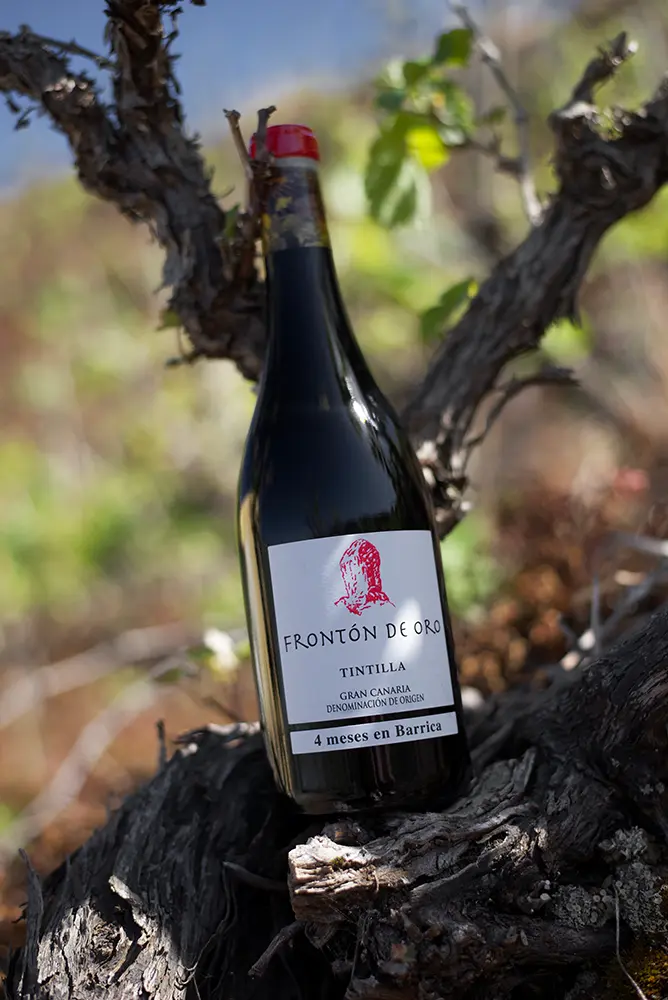 Vinos de altura